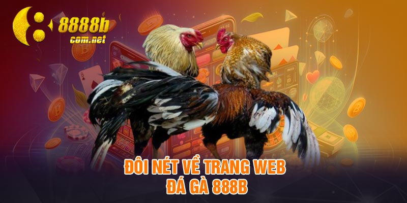 Đôi nét về trang web đá gà 888B