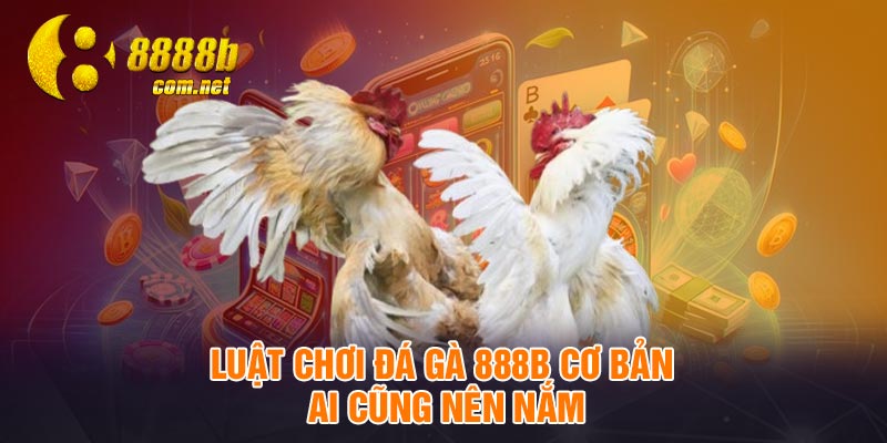 Luật chơi đá gà 888B cơ bản ai cũng nên nắm