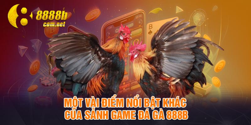 Một vài điểm nổi bật khác của sảnh game đá gà 888B